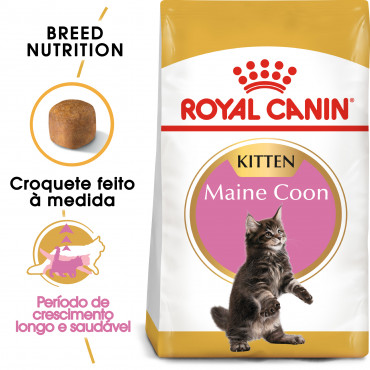 Royal Canin Maine Coon Gato Kitten