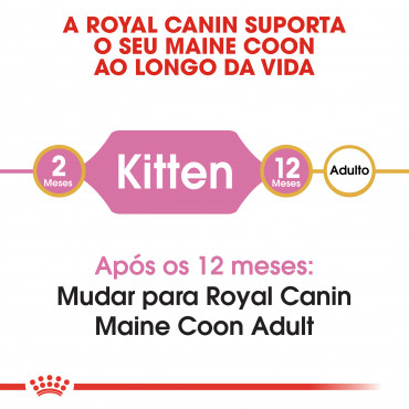 Royal Canin Maine Coon Gato Kitten