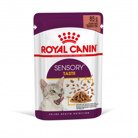 Royal Canin Sensory Taste Gato adulto - Em molho