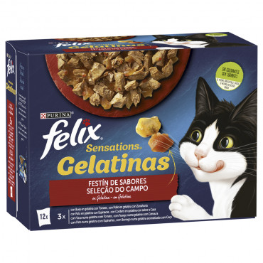 Felix Sensations - Seleção...