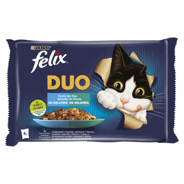 Felix Duo - Seleção de...