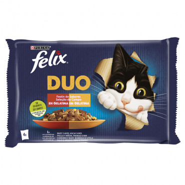 Felix Duo - Seleção do...