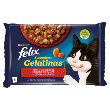 Felix Sensations - Seleção...