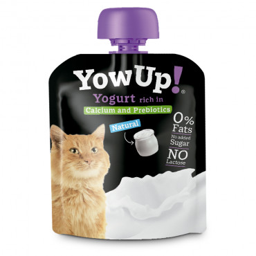 Iogurte para gatos - YowUp!