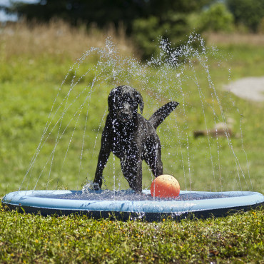 Piscina Splash para cães -...
