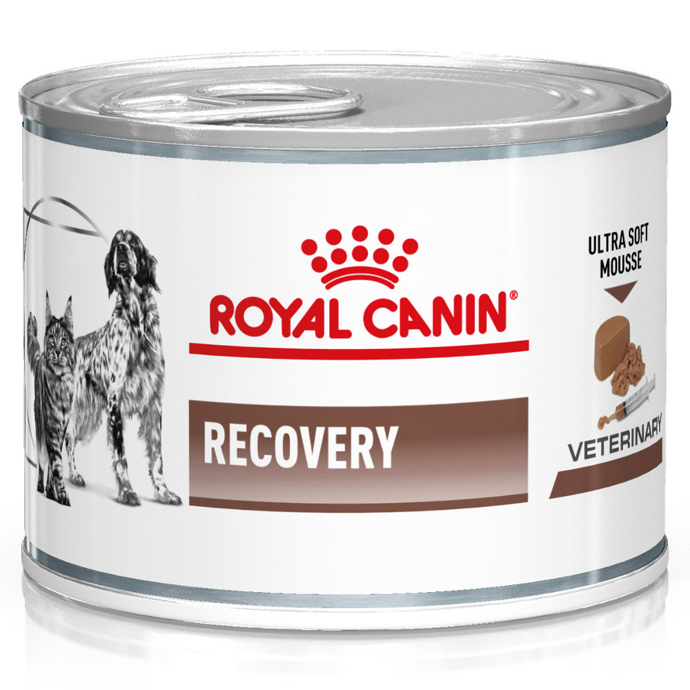 Ração para cão e gato Royal Canin Recovery Mousse ultra suave