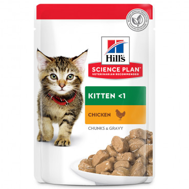 Hill's Kitten - Alimento em...