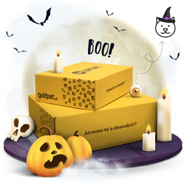 GOLDBOX de Halloween - Gato