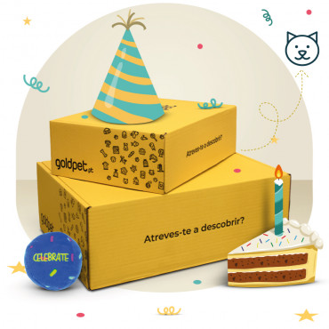 GOLDBOX de Aniversário - Gato