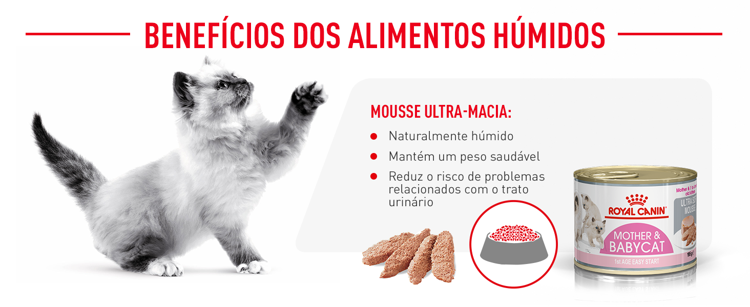 Royal Canin Mother & Baby Cat Mousse