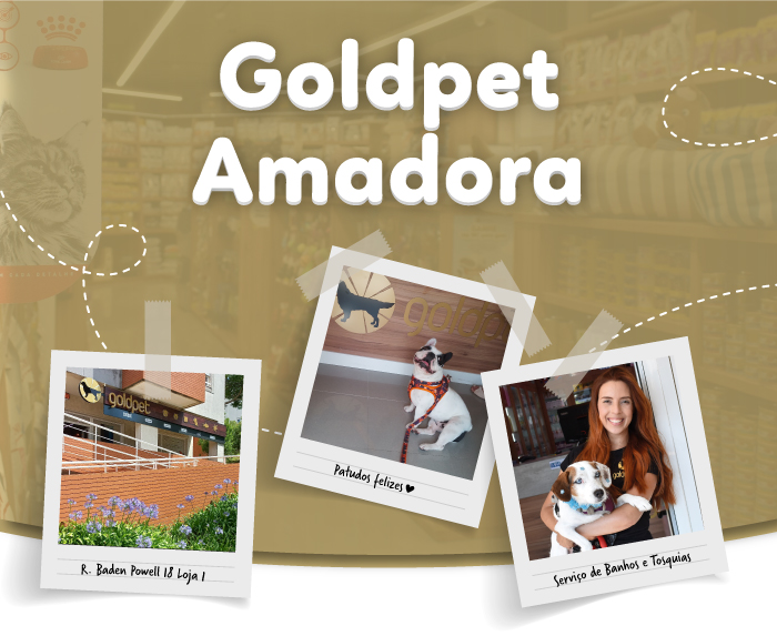 Loja Goldpet Amadora