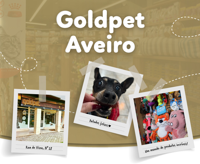 Loja Goldpet Aveiro