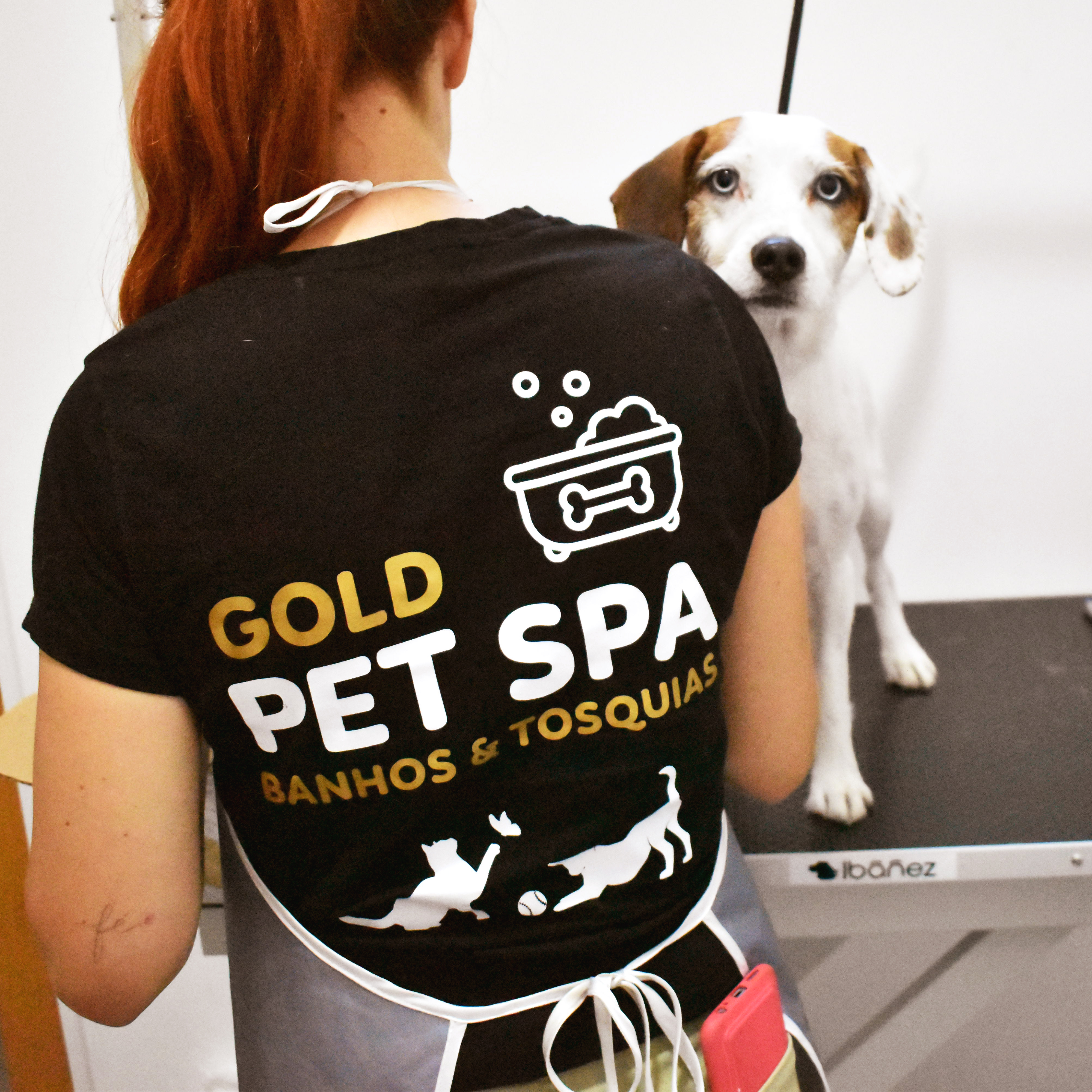 Gold Pet Spa