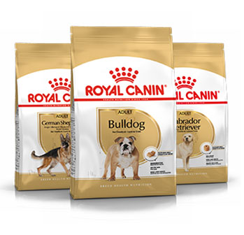 Royal Canin por raça