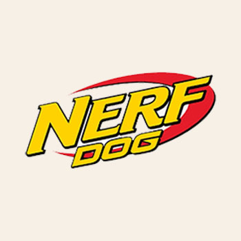 Nerf Dog