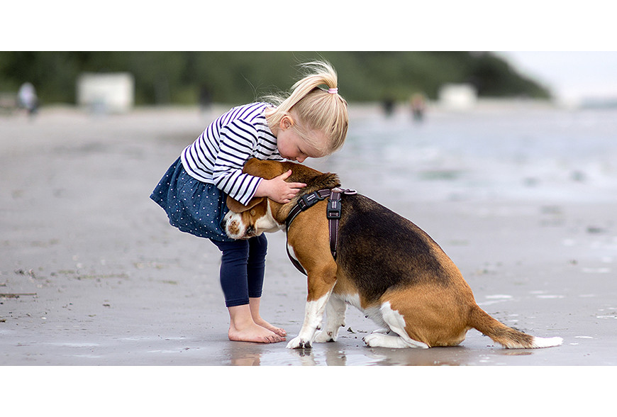 Benefícios de um cão na vida de uma criança