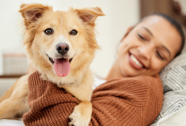 Depressão canina: como evitar?